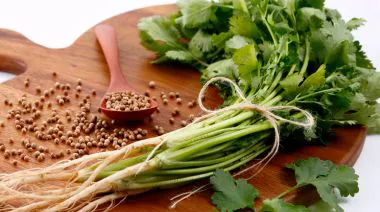 garnishing-instructions-image